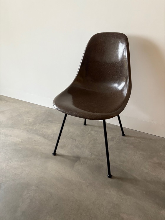 Image 1 of Vitra Eames Herman Miller 4 Fiberglass Kuipstoelen Dsx