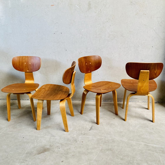 Image 1 of 4 x Pastoe SB02 eetkamerstoelen Cees Braakman 1950