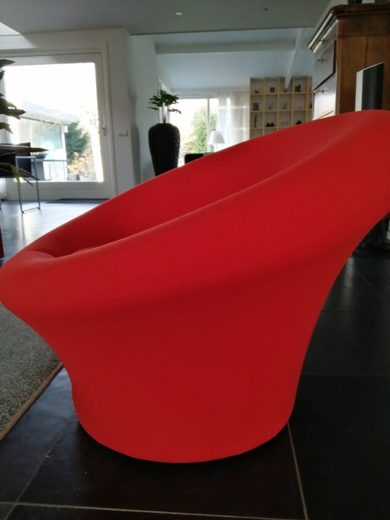 Image 1 of Mushroom Artifort Groot