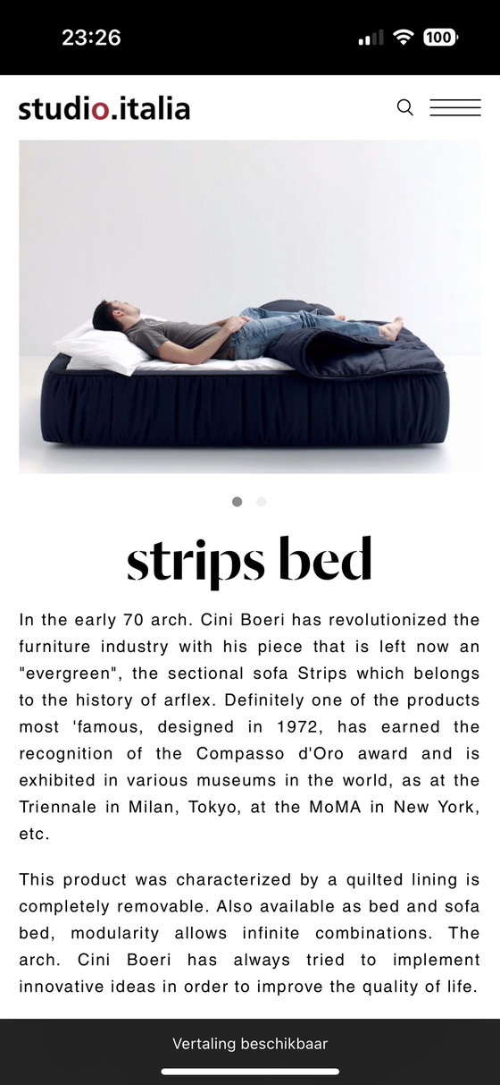 Image 1 of Vintage Cini Boeri Strips bed, 1972