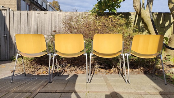 Image 1 of 4X Castelli Design Stoelen Dsc 106 Vintage Piretti Stoel  