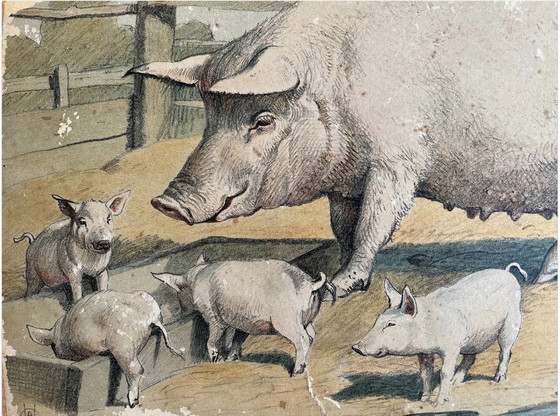 Image 1 of Antik Schoolkaart Illustratie, Dubbelzijdig, Varken/Viggetje En Schaap/Lammetje, Litho, Boerderijleven, Shabby Chic