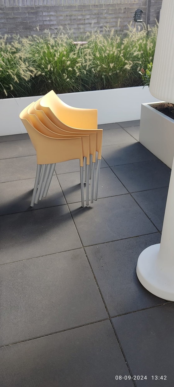 Image 1 of Kartell Dr No Tuinstoelen By Starck, Italian Design