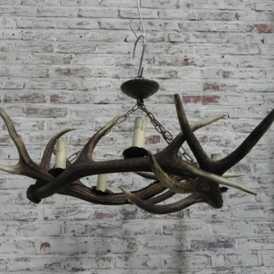 Image 1 of Gewei lamp met 3 geweien