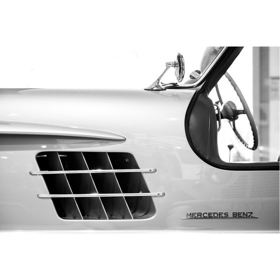 Image 1 of Genummerde vintage print Gullwing van Franck Leclerc