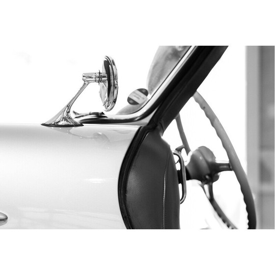 Image 1 of Genummerde vintage print Gullwing van Franck Leclerc