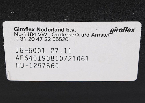 Image 1 of 4X Giroflex 16-6001 Stoel