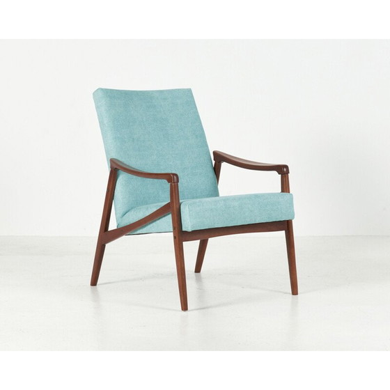 Image 1 of Paar vintage fauteuils van Jiri Jiroutek voor Interier Praha, Tsjecho-Slowakije 1960