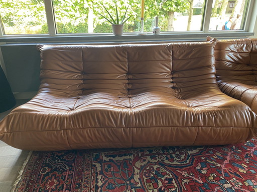 Ligne Roset Togo Set - Cognac Leder