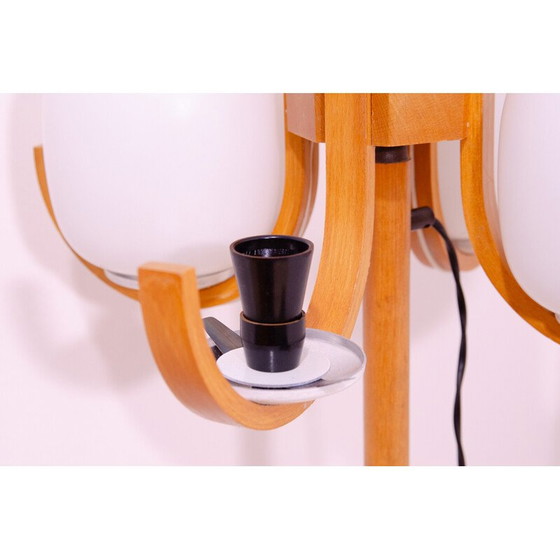 Image 1 of Vintage hotel vloerlamp in ondoorzichtig wit glas en beuken, Tsjechoslowakije 1970