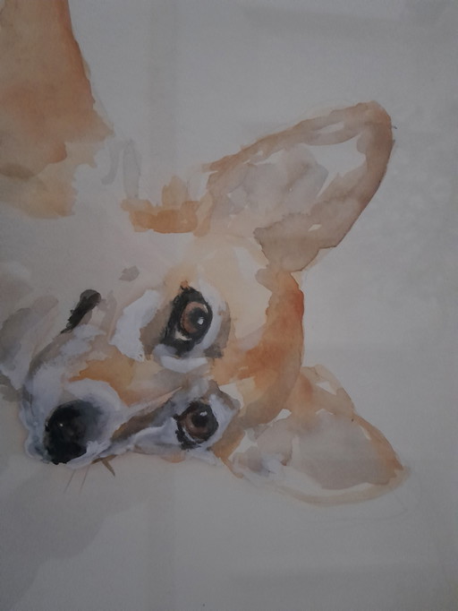 2 Schilderijen 40 *50 Cm Welsh Corgi