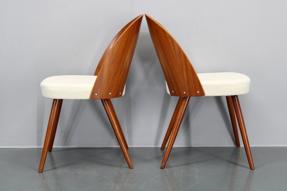 Image 1 of 1960S Antonin Suman Paar gerestaureerde stoelen in walnoot afwerking