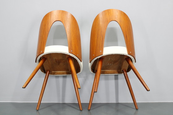 Image 1 of 1960S Antonin Suman Paar gerestaureerde stoelen in walnoot afwerking