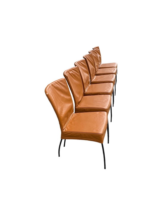 Image 1 of Set Van 6 Montis Spica Chairs Cognac