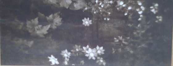 Image 1 of Monograph van Josef Sudek boek