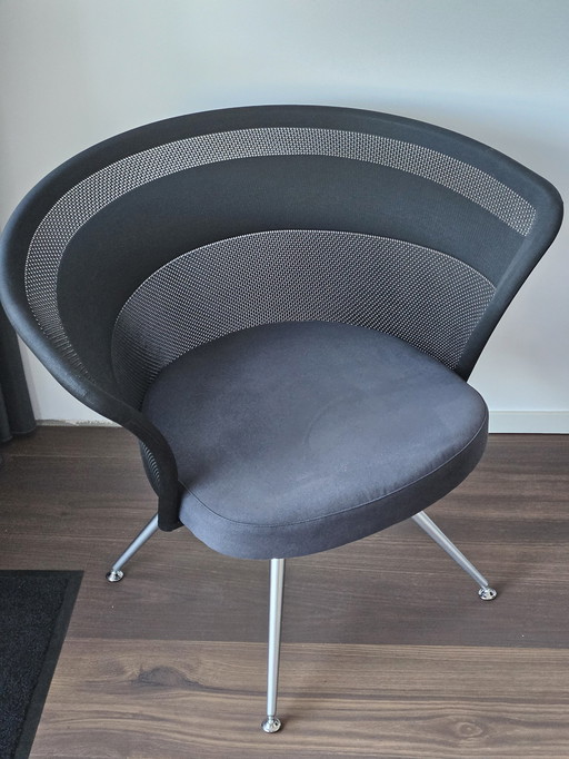 2x Tonon Schelpen Stoelen