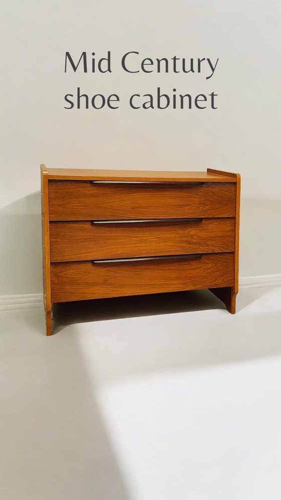 Image 1 of Mid - Century Shoe Cabinet