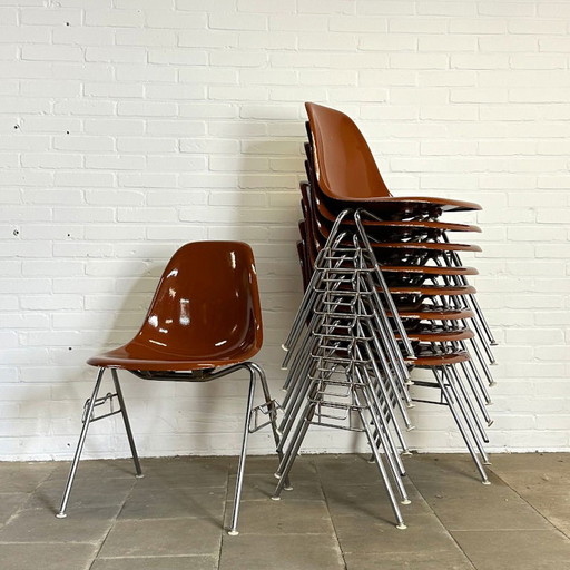 Set van 9 DSS stoelen, Charles & Ray Eames voor Herman Miller