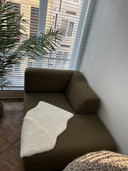 Leolux chaise longue