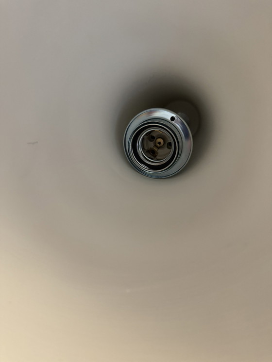 Image 1 of Trompetlamp / Heksenhoed 