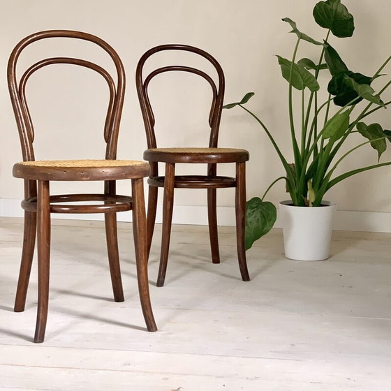 Image 1 of Set van 4 vintage Thonet stoelen model 14-1