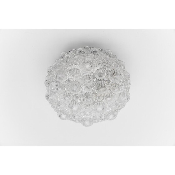 Image 1 of Vintage ronde plafondlamp van glanzend glas en metaal in de vorm van een 3D fossiele schelp, 1960
