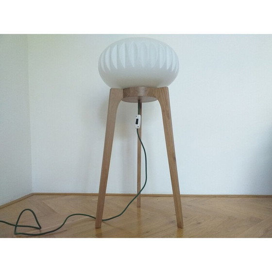 Image 1 of Grote staande lamp, ULUV, 1970