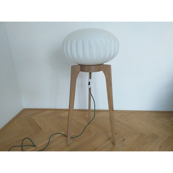 Image 1 of Grote staande lamp, ULUV, 1970