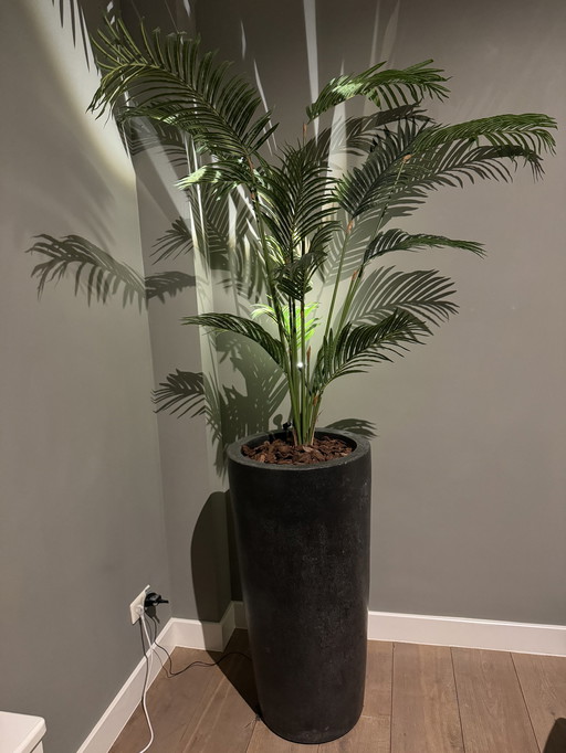 Stenen Vaas met kunst palm