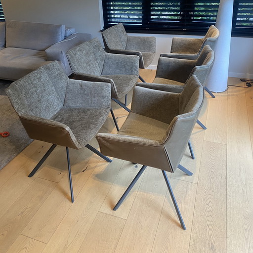 6x Label Eetkamerstoelen