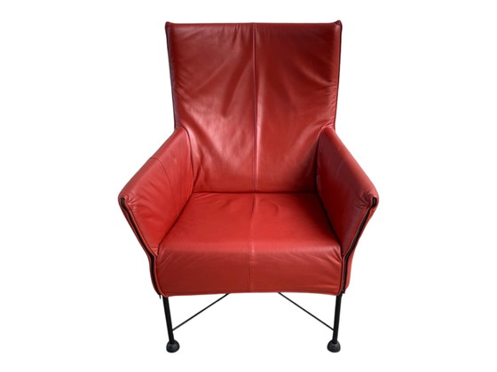 Image 1 of Montis Charly Highland Tabasco