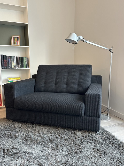 Leolux Fauteuil 