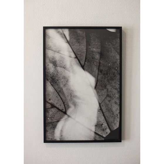 Image 1 of Vintage schilderij Mouvements Naturels 04 van Meïdhy Bichon, 2019