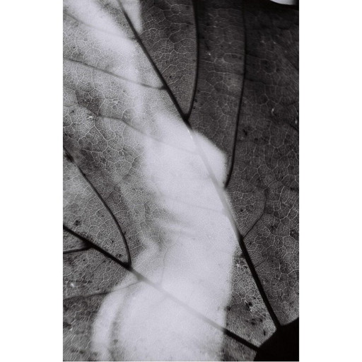 Vintage schilderij Mouvements Naturels 04 van Meïdhy Bichon, 2019