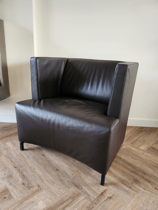 De Sede Fauteuil Buffel Leer Zwitsers Design