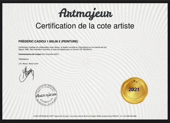 Image 1 of Het kustpad. Acryl door Frédéric Cadiou