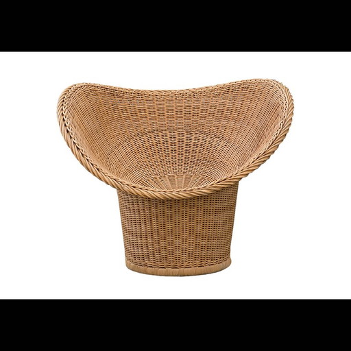 Vintage E20 rieten fauteuil van Egon Eiermann voor Heinrich Murmann