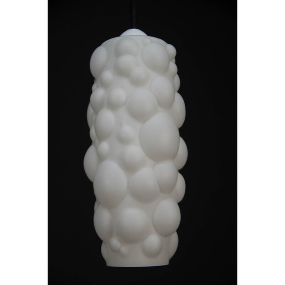 Image 1 of Vintage organische hanglamp 1960