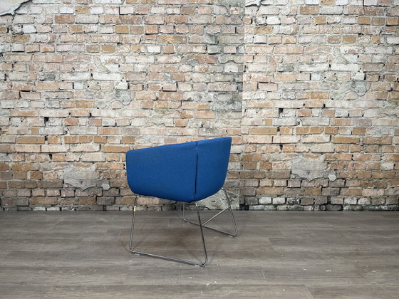 Image 1 of B&B Italia Tulip Sixty - fauteuil