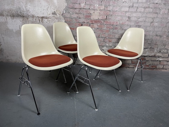 Image 1 of 4x Vitra Herman Miller DSS stoel van glasvezel door Charles & Ray Eames