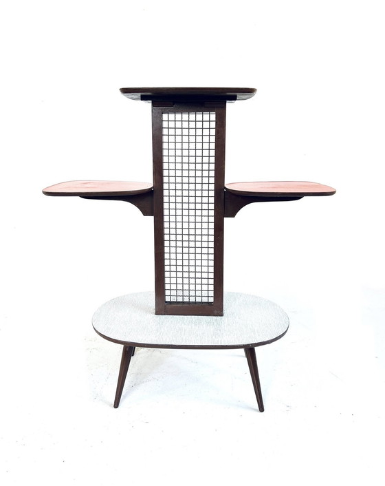 Image 1 of Vintage Formica Plantentafel ‘60