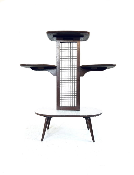 Image 1 of Vintage Formica Plantentafel ‘60