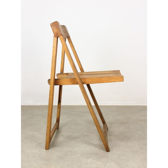 Image 1 of Vintage Trieste klapstoel door Aldo Jacober, jaren 1960