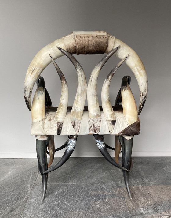 Image 1 of Vintage Koe Hoorn Stoel