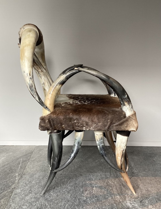 Image 1 of Vintage Koe Hoorn Stoel