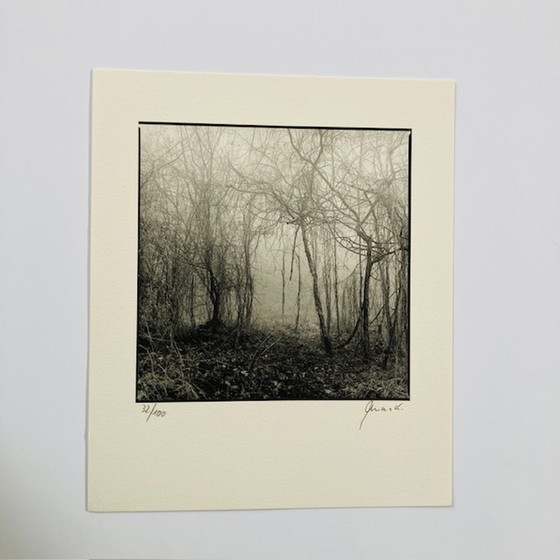 Image 1 of Ralph Janowski - fotoprint zonder titel 