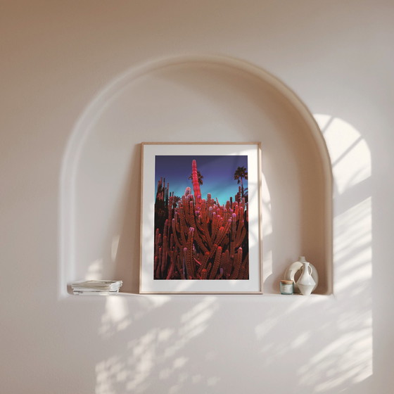 Image 1 of Fine Art Photography Print 'Palms Kingdom' door Studio Johanna von Holst