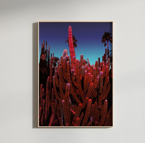 Image 1 of Fine Art Photography Print 'Palms Kingdom' door Studio Johanna von Holst