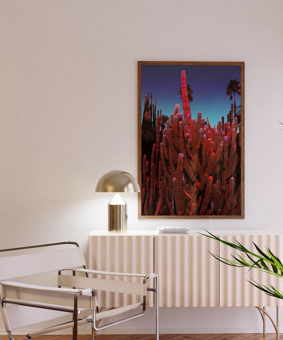 Image 1 of Fine Art Photography Print 'Palms Kingdom' door Studio Johanna von Holst