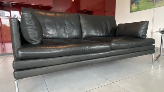 Image 1 of Sofa   Zanotta William L 180 C99